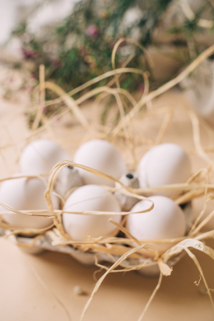 A close-up view of white eggs in a straw nest, soft and natural lighting.